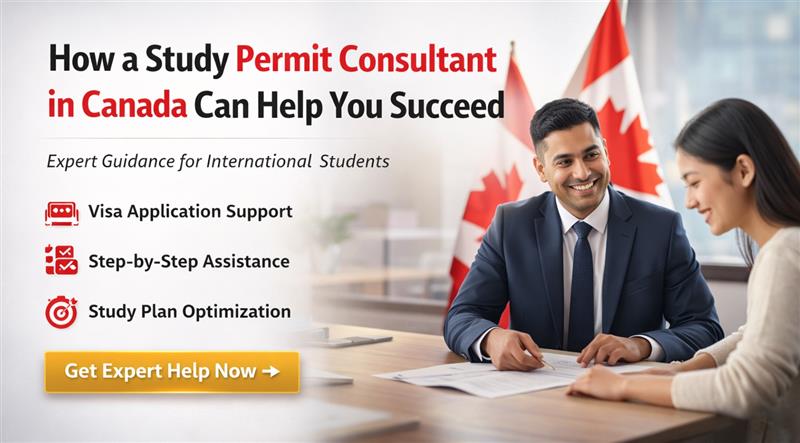 how a study permit consultant in canada can help you succeed